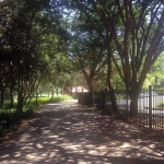 Montessori Pre-School